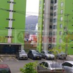 pasto iguazu 11A