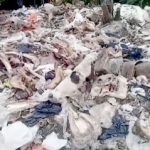 En zona rural del municipio de Pasto, Nariño, hallaron un matadero de ganado clandestino. Autoridades buscan a los responsables.