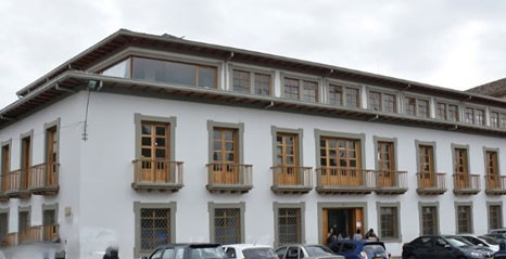 pasto alcaldía