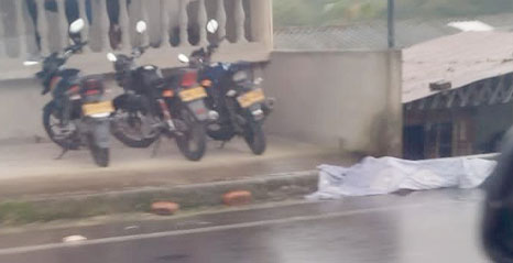 mallama hector araujo