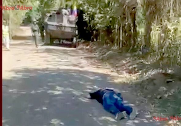cauca mojarras
