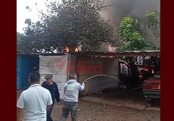 pasto incendio la floresta