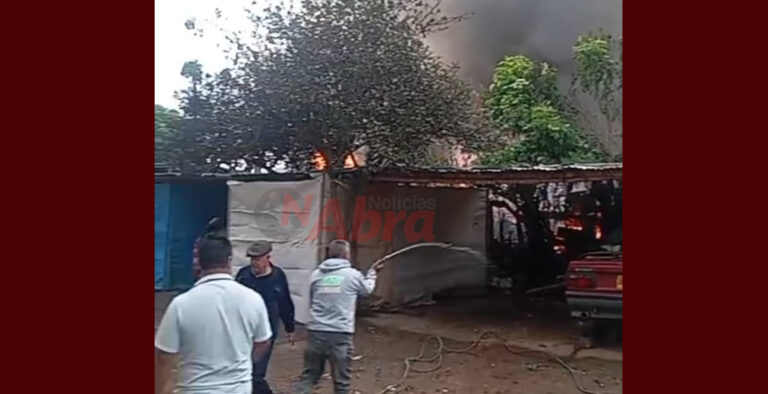 pasto incendio la floresta