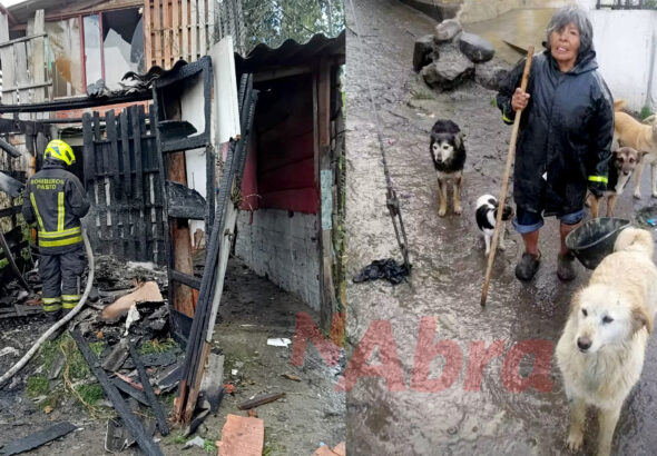 pasto pejendino bajo incendio