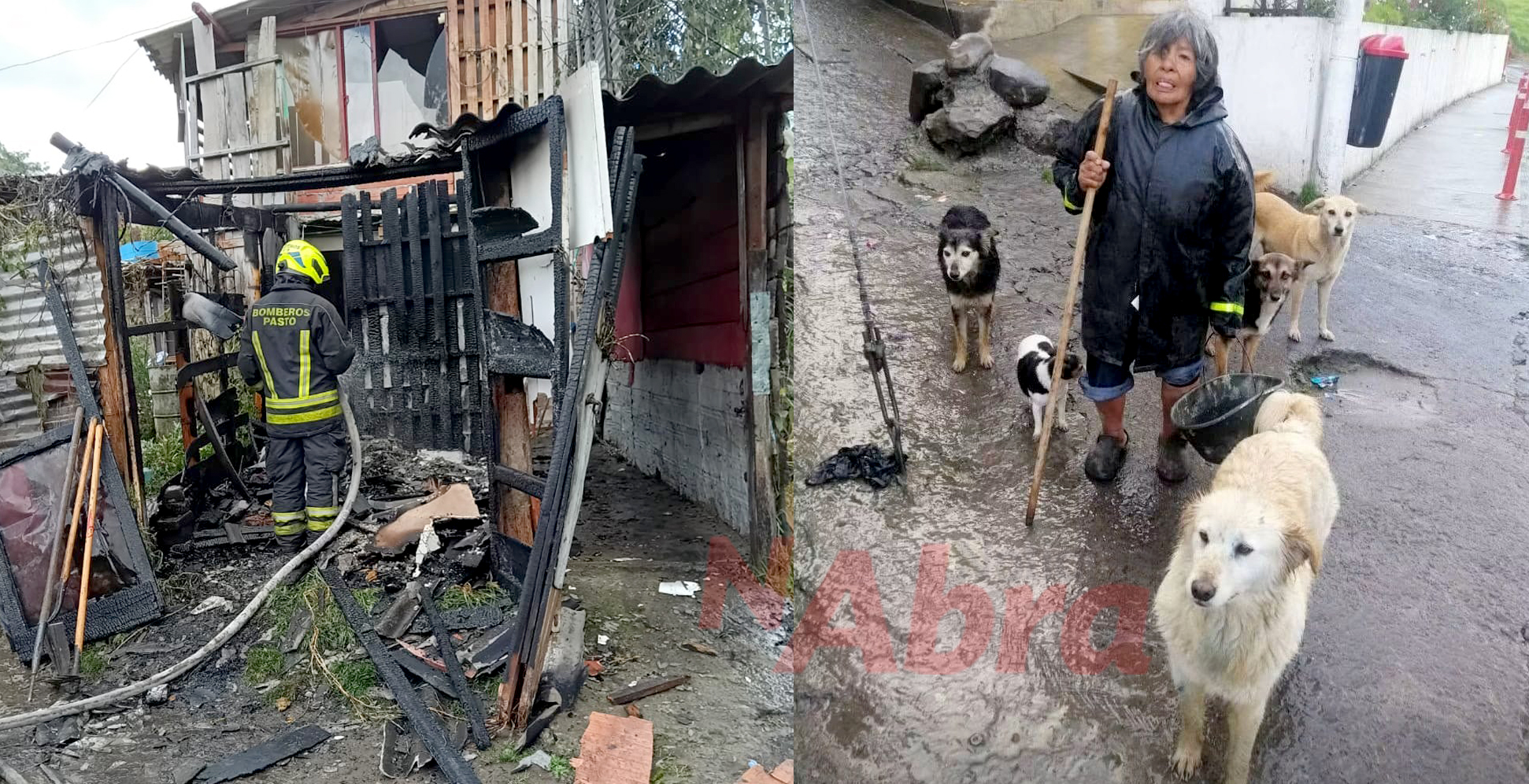 pasto pejendino bajo incendio