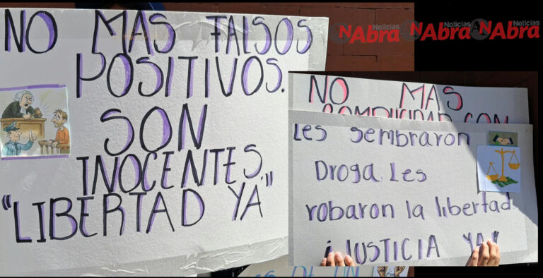 pasto sijin
